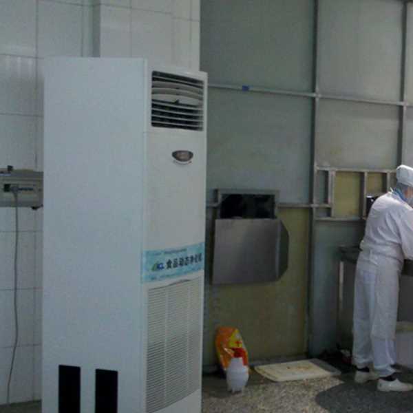 眉山食品正负离子空气杀菌器